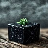 Savon au Charbon et à l'Aloe Vera pour la vente par Dulceria Soapery