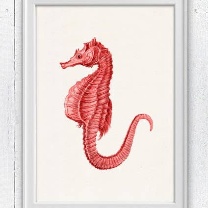 Rotes Seepferdchen für den Großhandel von PRRINT!