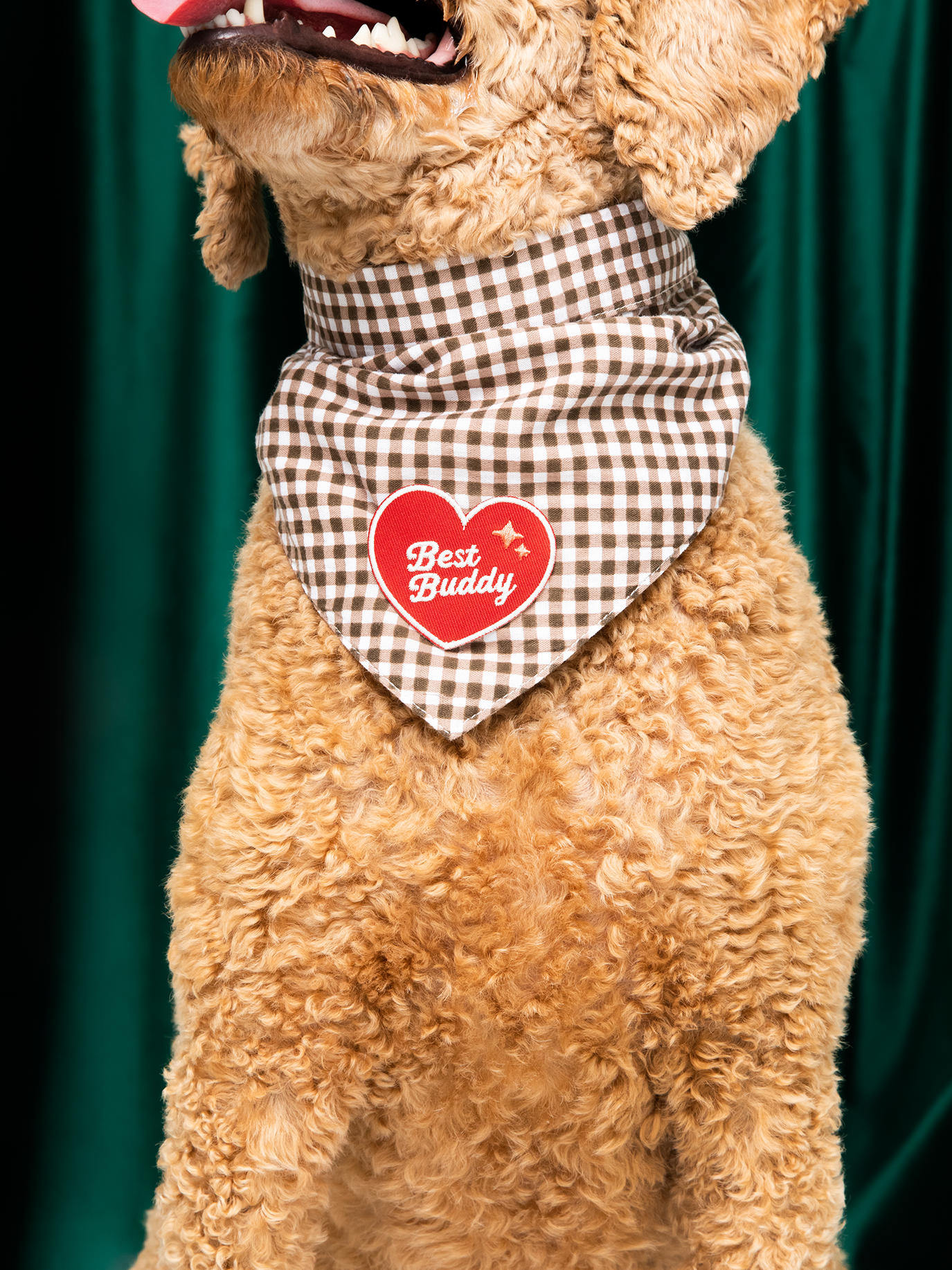 Scout's Honour Pty Ltd - Wholesale Pet Bandana - Dog - Best Buddy iron-on patch for dogs and cats3