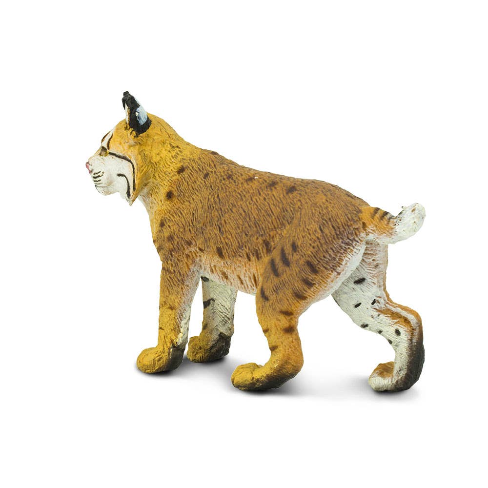 Safari Ltd. - Wholesale Figurine Toy - Kids - Bobcat - 2970291