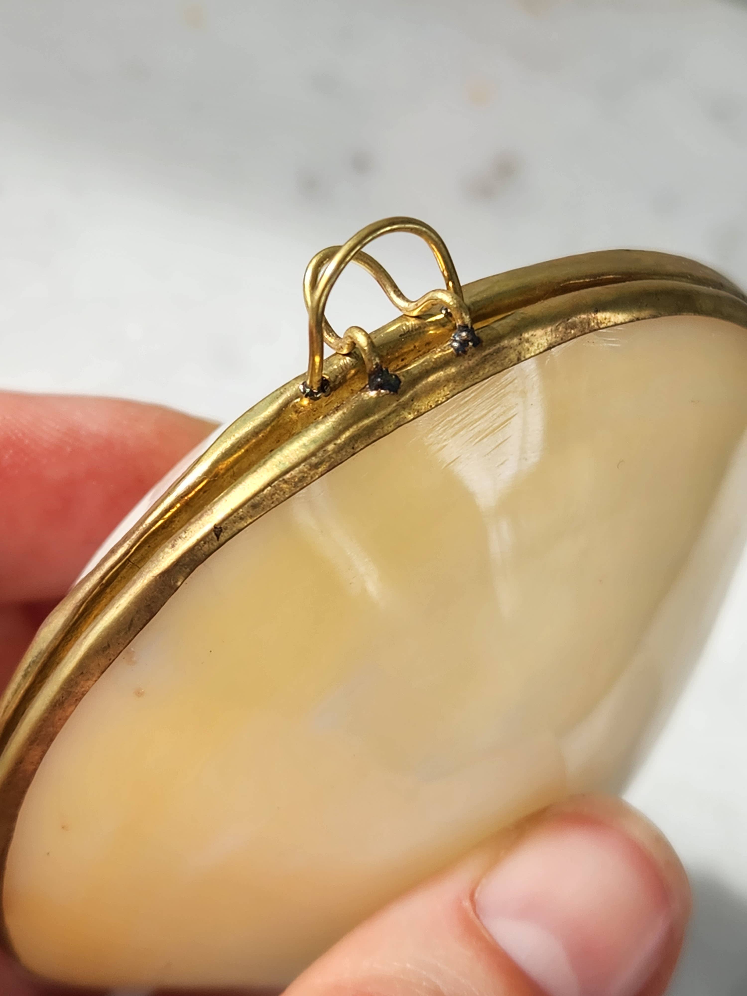 White Tulip Boutique - Wholesale Decorative Box - Mini Clam Trinket Pill Box, Coin Purse4