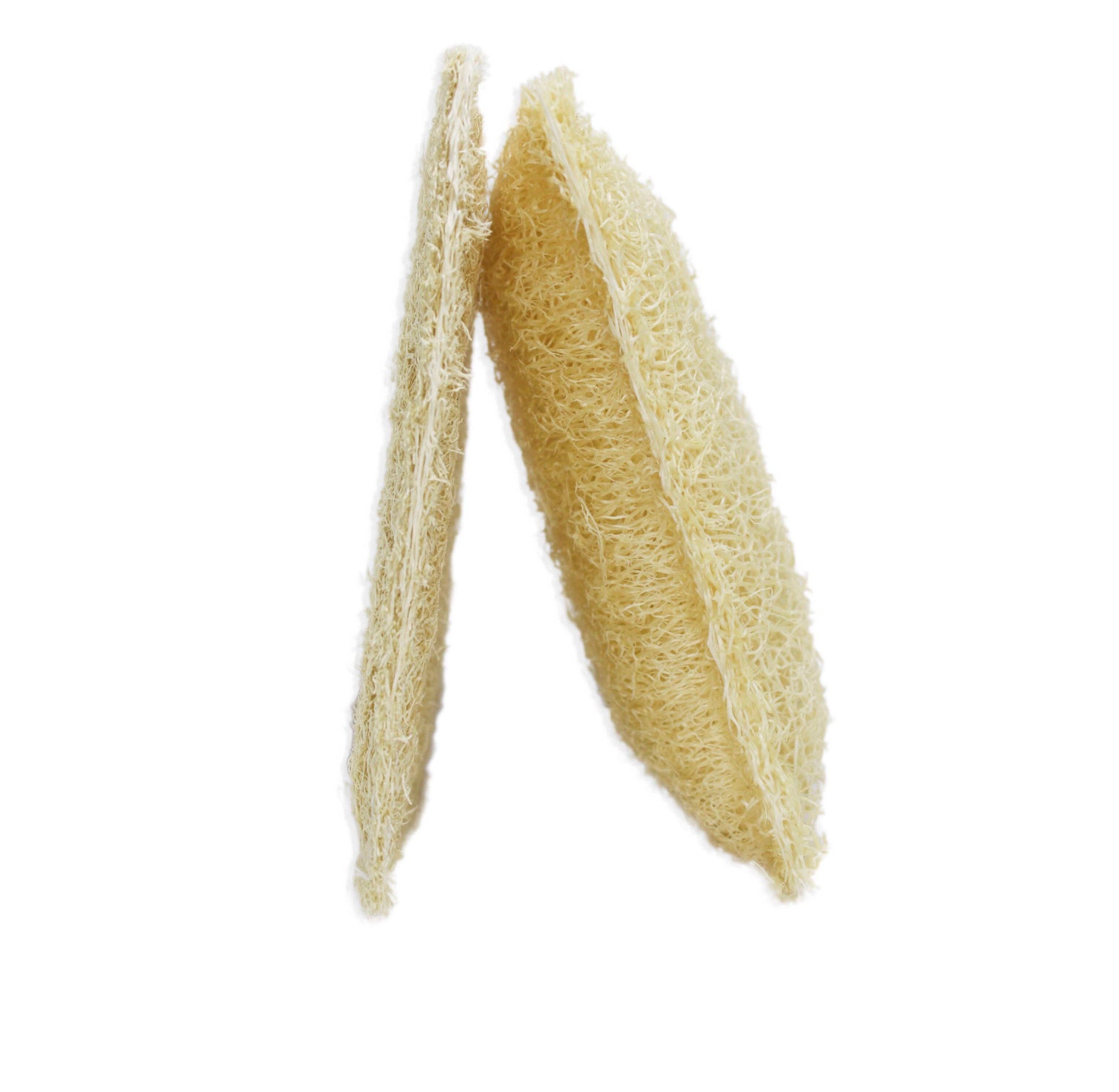 Luna Azul Co - Wholesale Loofah - Loofah Dish Scrubber 2 Pack6