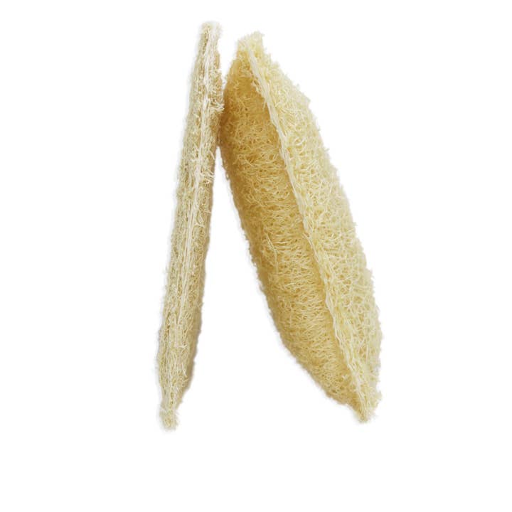 Luna Azul Co - Wholesale Loofah - Loofah Dish Scrubber 2 Pack6