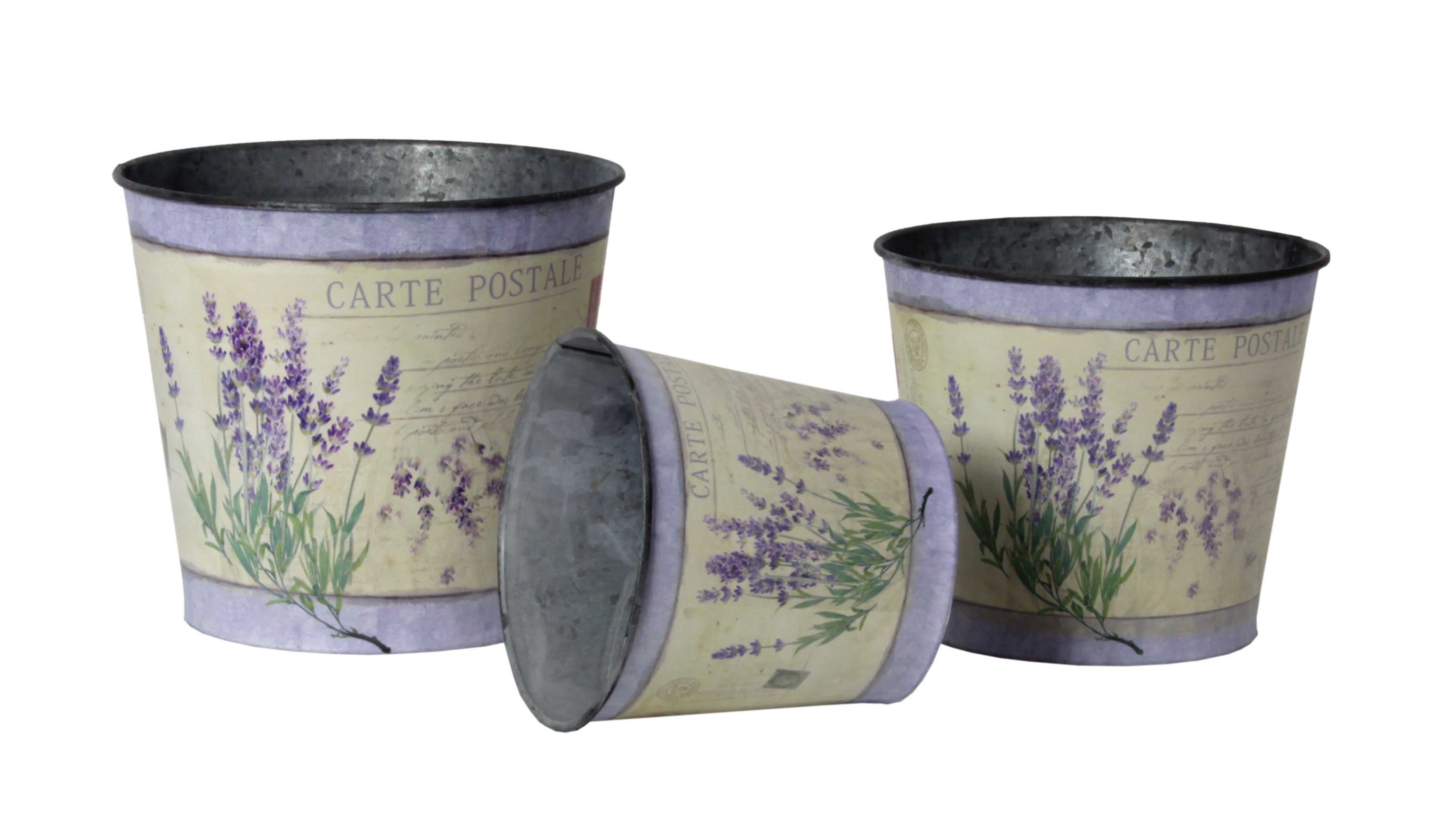 Braun – wholesale Spannar och hinkar – Trädgårdshink - Stor0