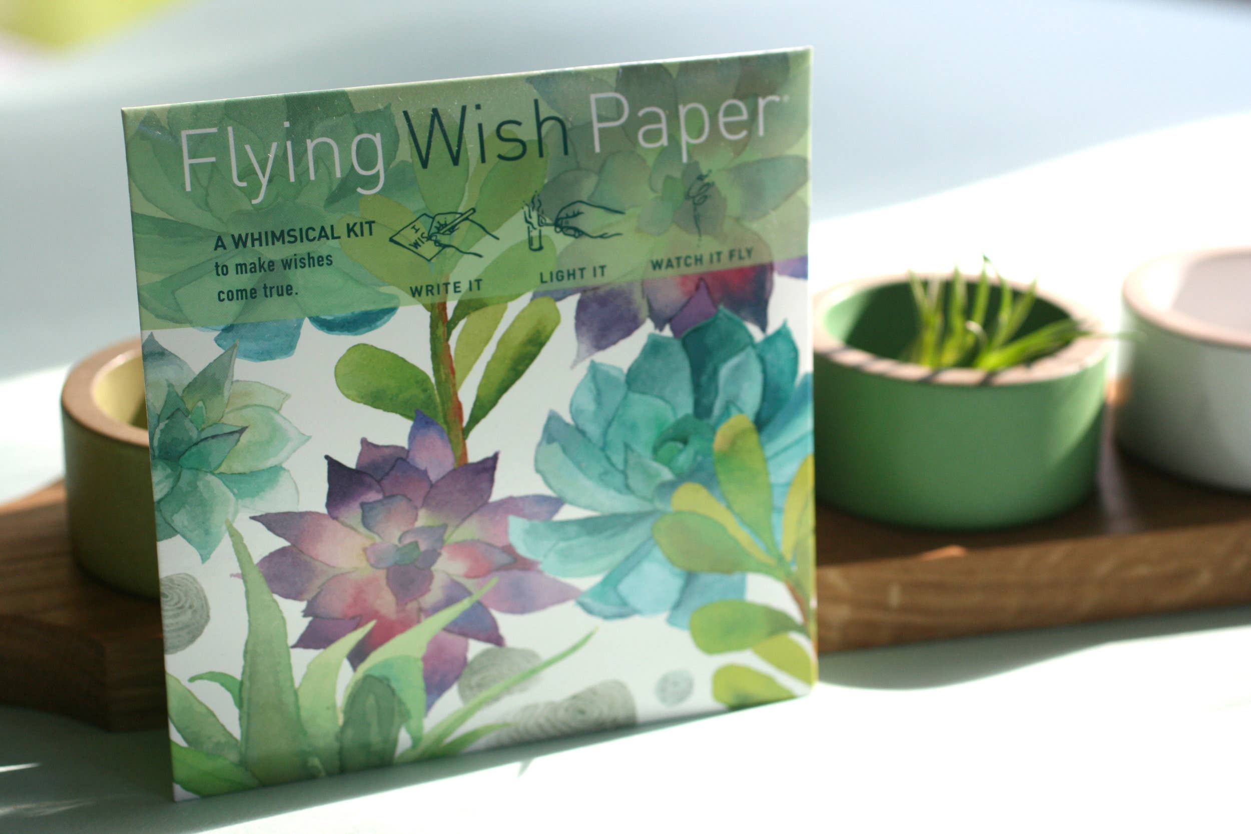 FLYING WISH PAPER ® - Wholesale Everyday greeting card - CACTUS GARDEN – WISH PAPER™ Mindfulness Craft kit, Manifest2