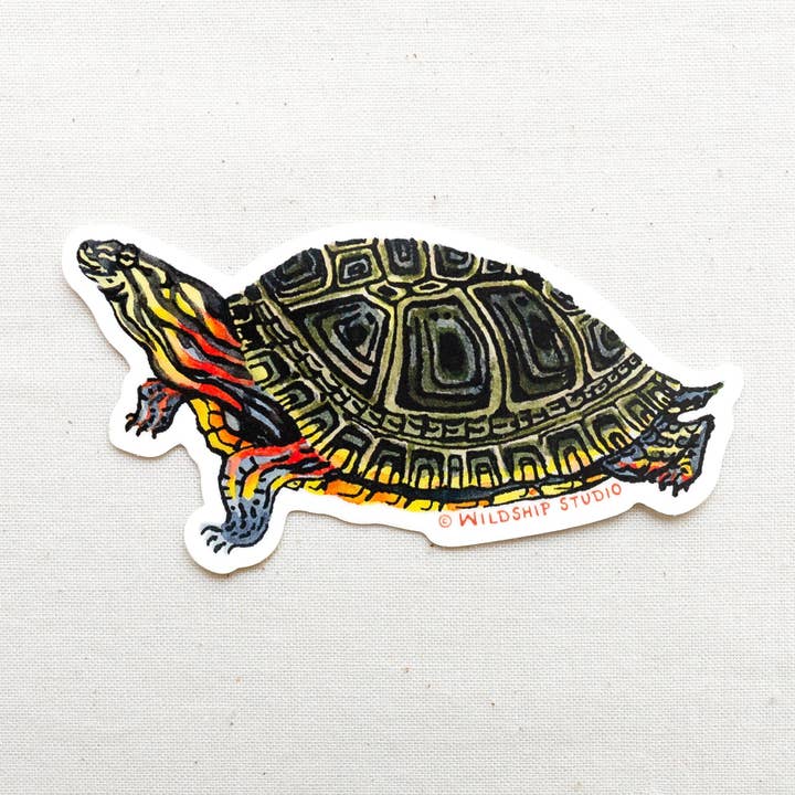 Painted Turtle Sticker for wholesale by Wildship Studio