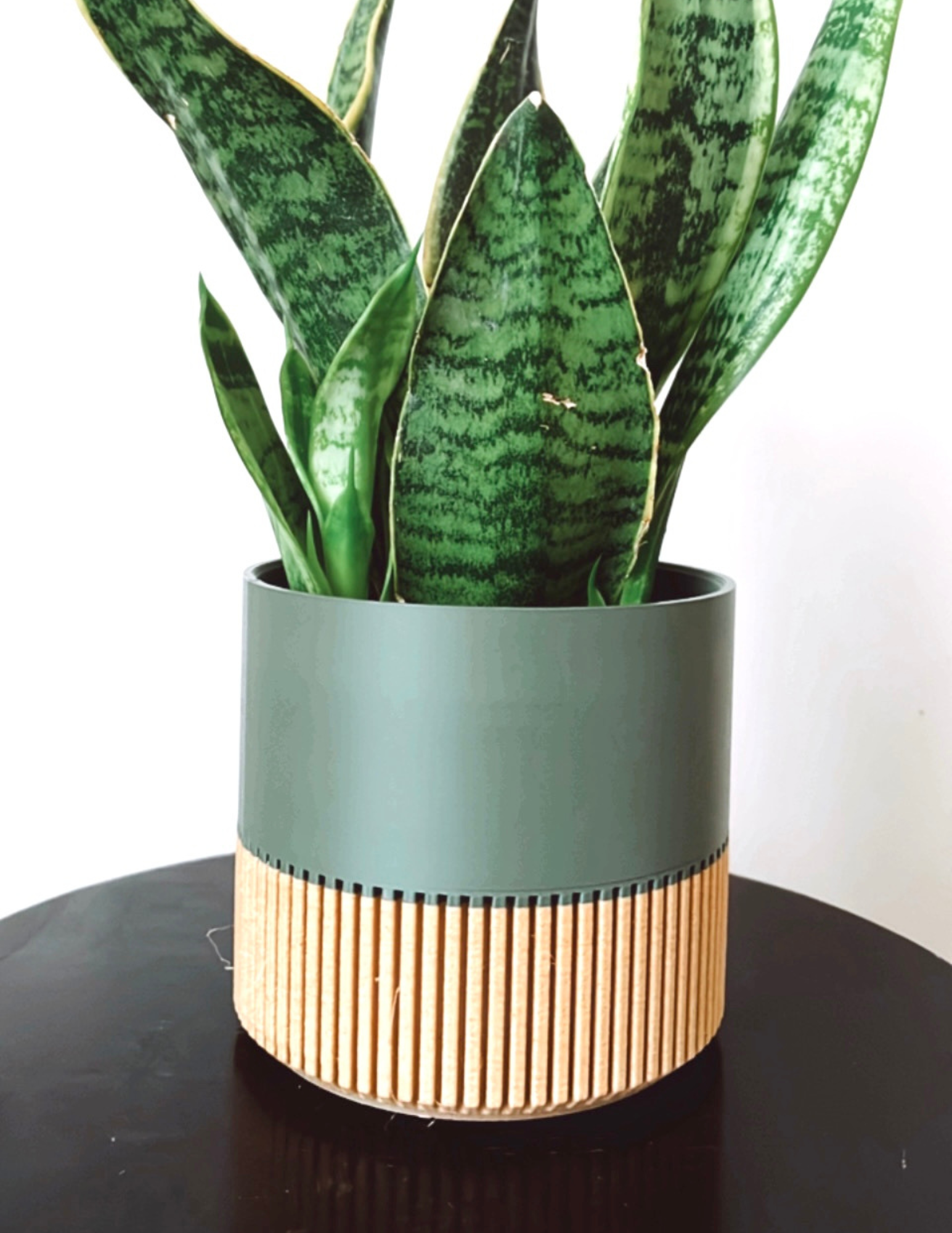 Prairie City Printing Co. - Wholesale Plant Pot - Two-toned Wood & Colour (Olive) Plant Pot 0