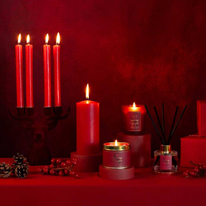 Shearer Candles - Wholesale Reed Diffuser - Cranberry and Ginger Scented Diffuser2
