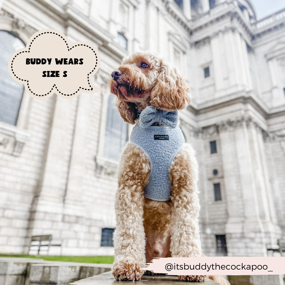 Cocopup London – wholesale Pet harness – Dog – Teddy Daydream Adjustable Neck Harness10
