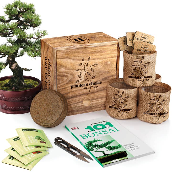 Planter's Choice - Wholesale DIY Craft Kit - Bonsai Growing Kit