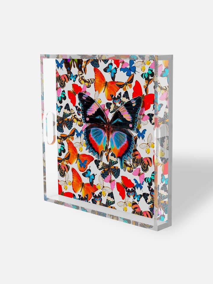 White Butterfly Square Acrylic Tray – Matriarch of the Sky for wholesale by David Stesner ArtHouse