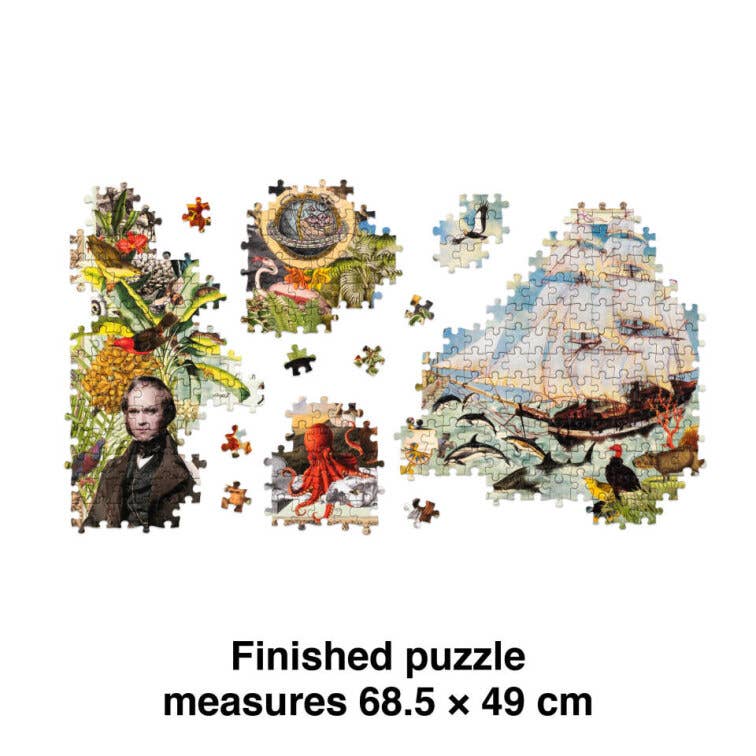 Abrams - Wholesale Puzzle - Adult - The Voyage of HMS Beagle3