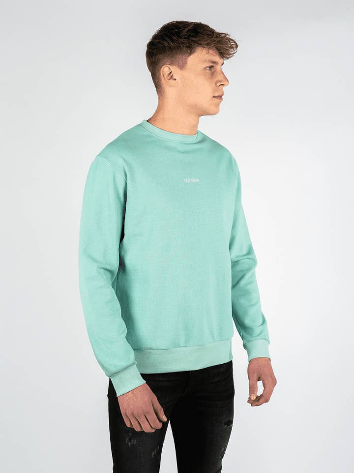 Sweater | Mørkegrøn-Sage for engroshandel hos SEA'SONS