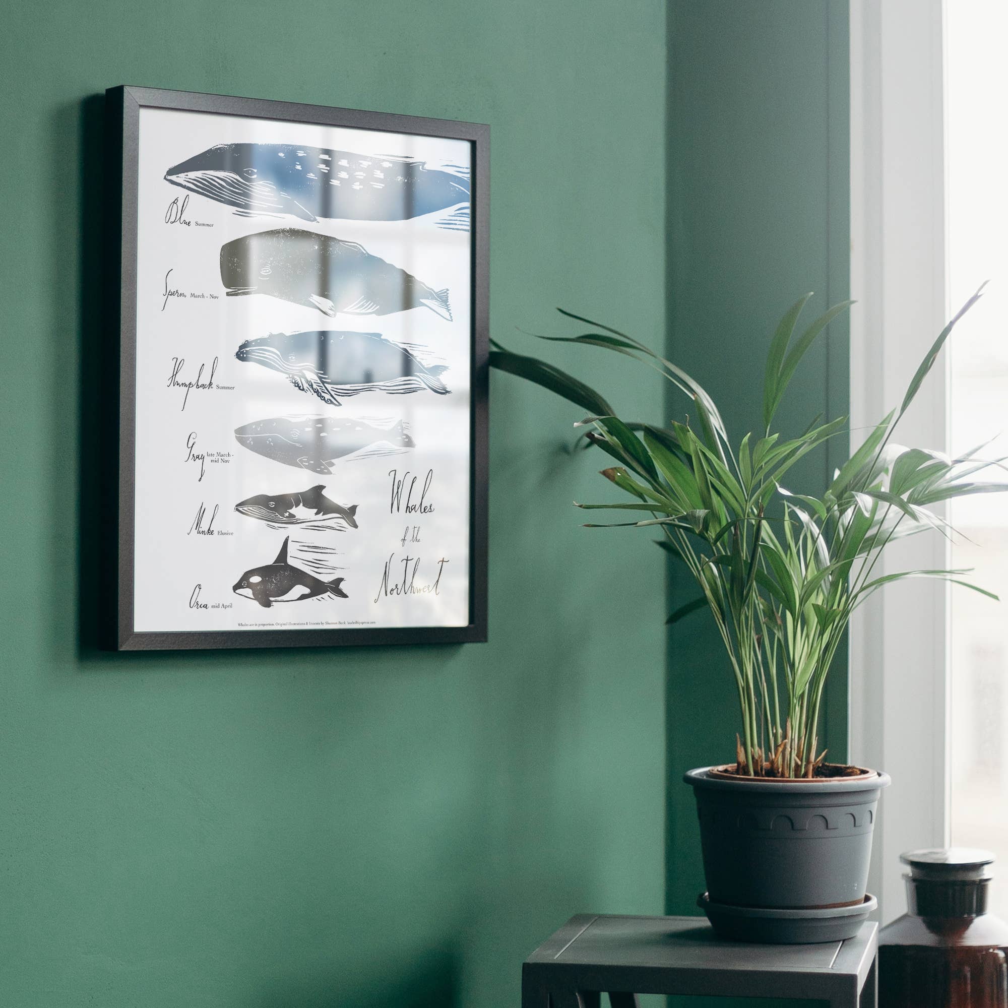 Loaded Hips Press - Wholesale Art Print - Whales in  the Pacific NW 11x14 print unframed1