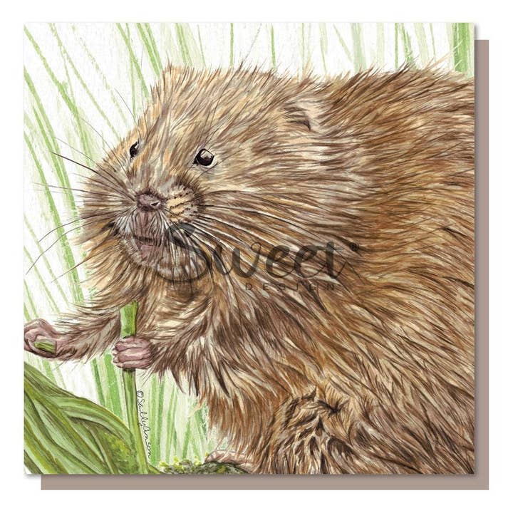 SJB014 - Arvola de Água da Floresta por atacado de Sweet Design