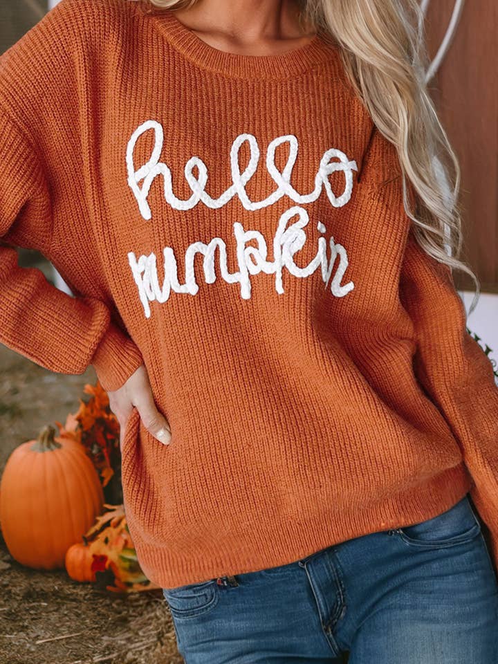 Pull graphique LDC Hello Pumpkin pour la vente par Little Daisy Closet