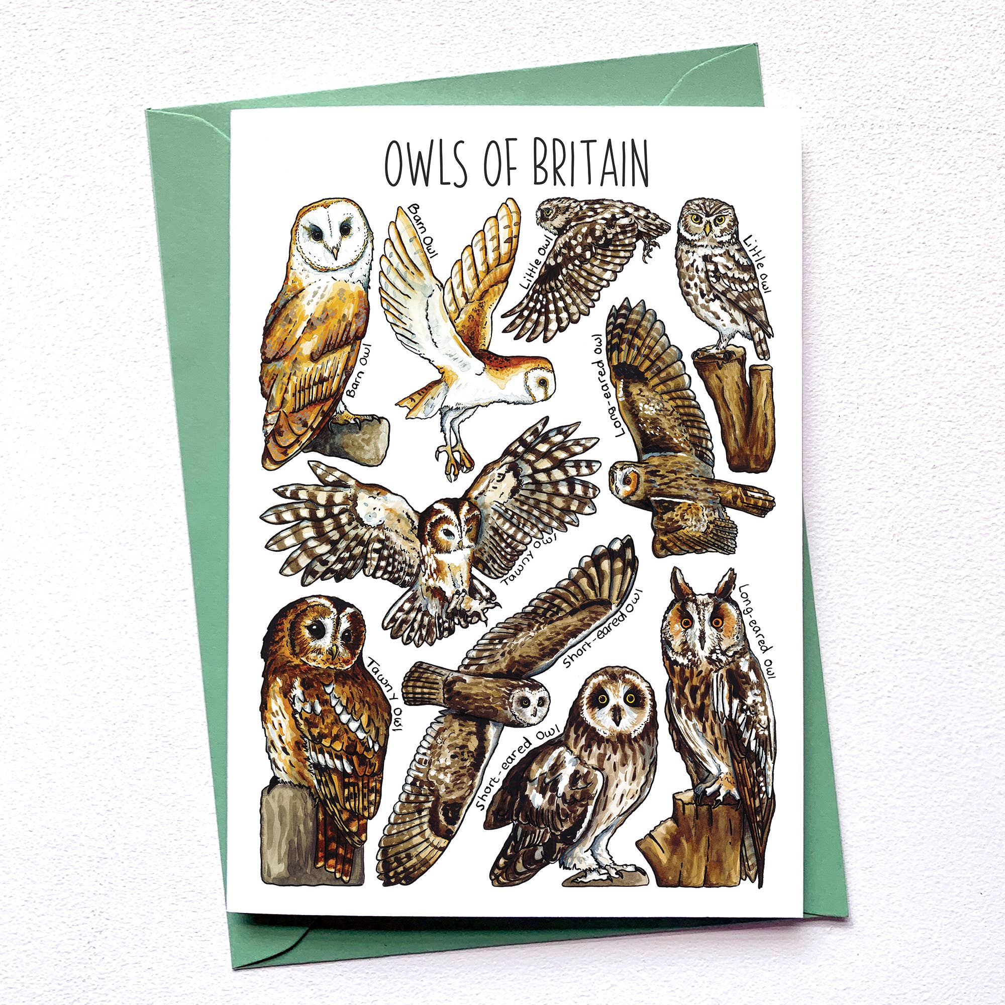 Alexia Claire Ltd - Wholesale Everyday Greeting Card - Owls of Britain Art Blank Greeting Card1