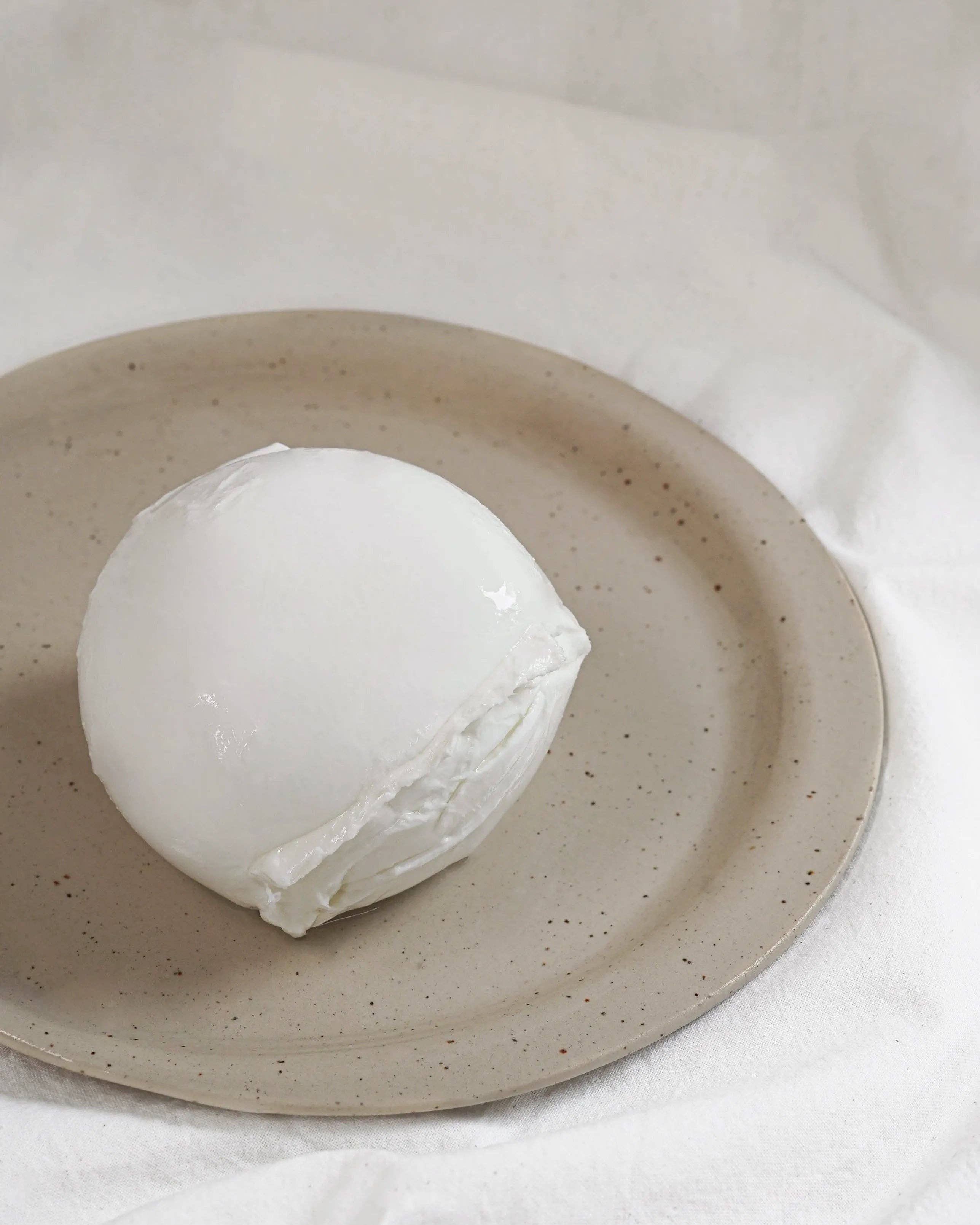 OLIO DI SERRA - Wholesale Cheese - Mozzarella di bufala DOP Campana - Buffalo mozzarella from Apulia DOP Campana (2kg)4