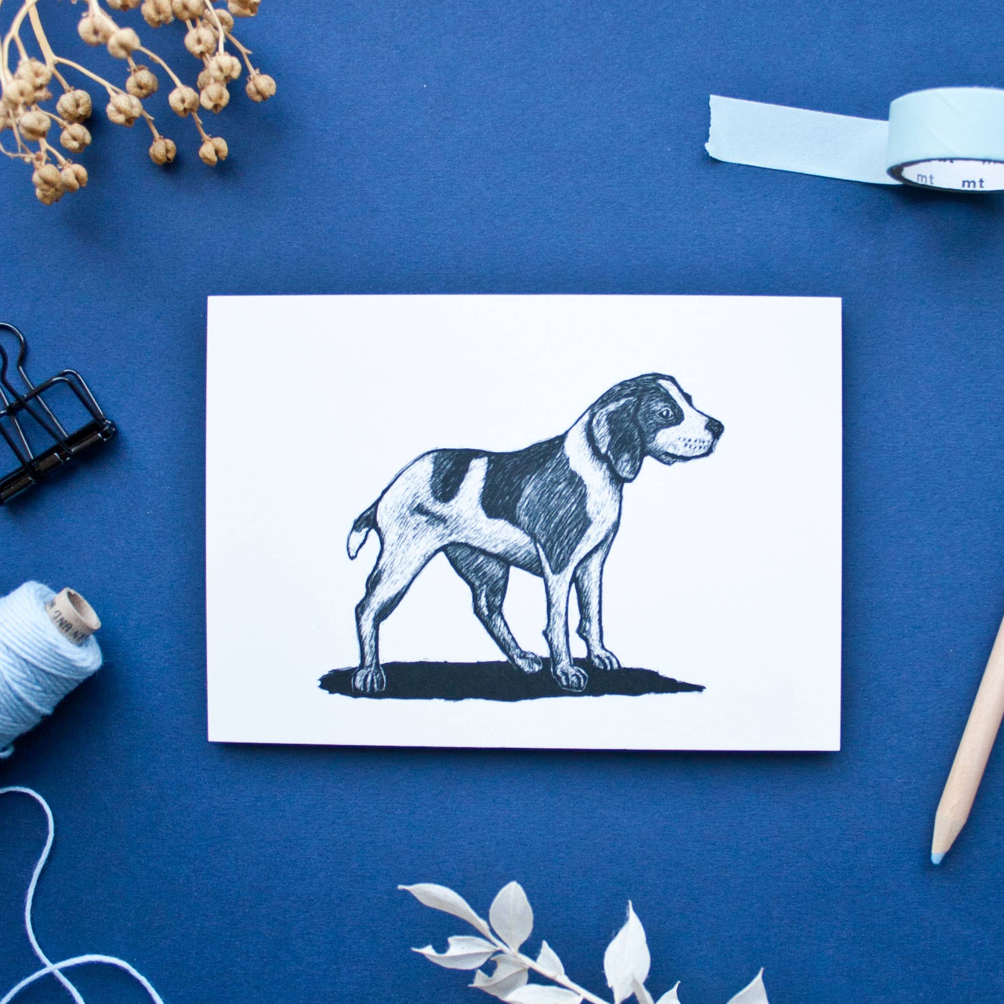 Katja Rub - Wholesale Postcard - Postcard Beagle2