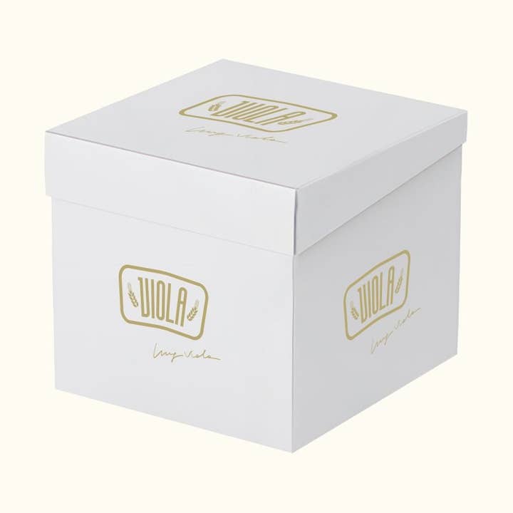 Artisanal panettone kg 1 figs and walnuts for wholesale by Il Mercante di Terra