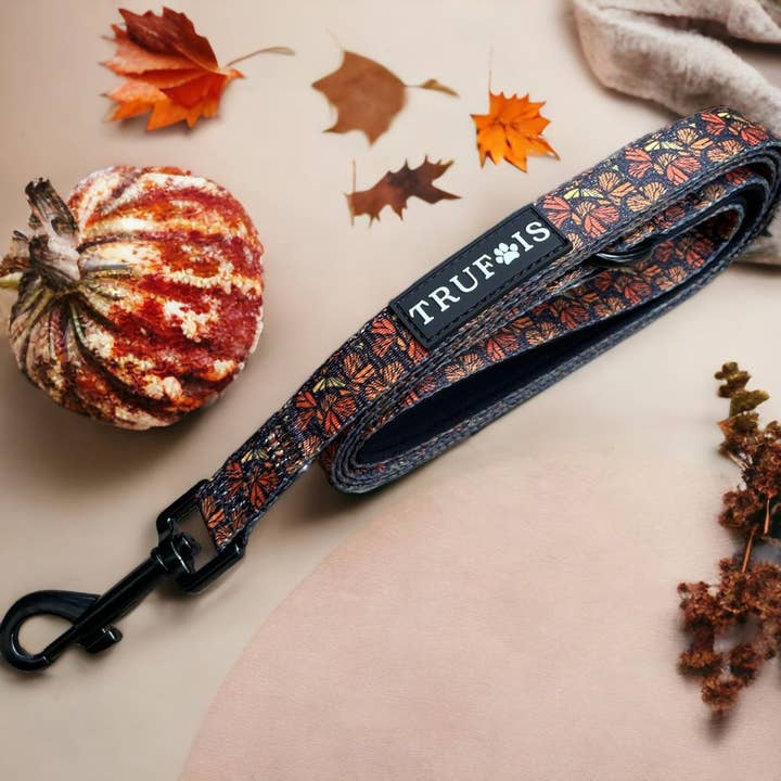 Laisse - Fall and Fly pour la vente par Trufois