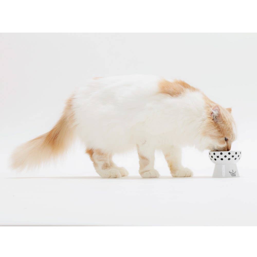 MOON-X USA, INC. – Großhandel Futternapf – Katze/Hund – Raised Mini Katzenfutternapf (Cat Dots)5