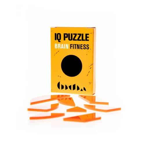 Geek Toys US - Wholesale Puzzle - Adult - IQ Puzzle - Adult Brain Teaser1