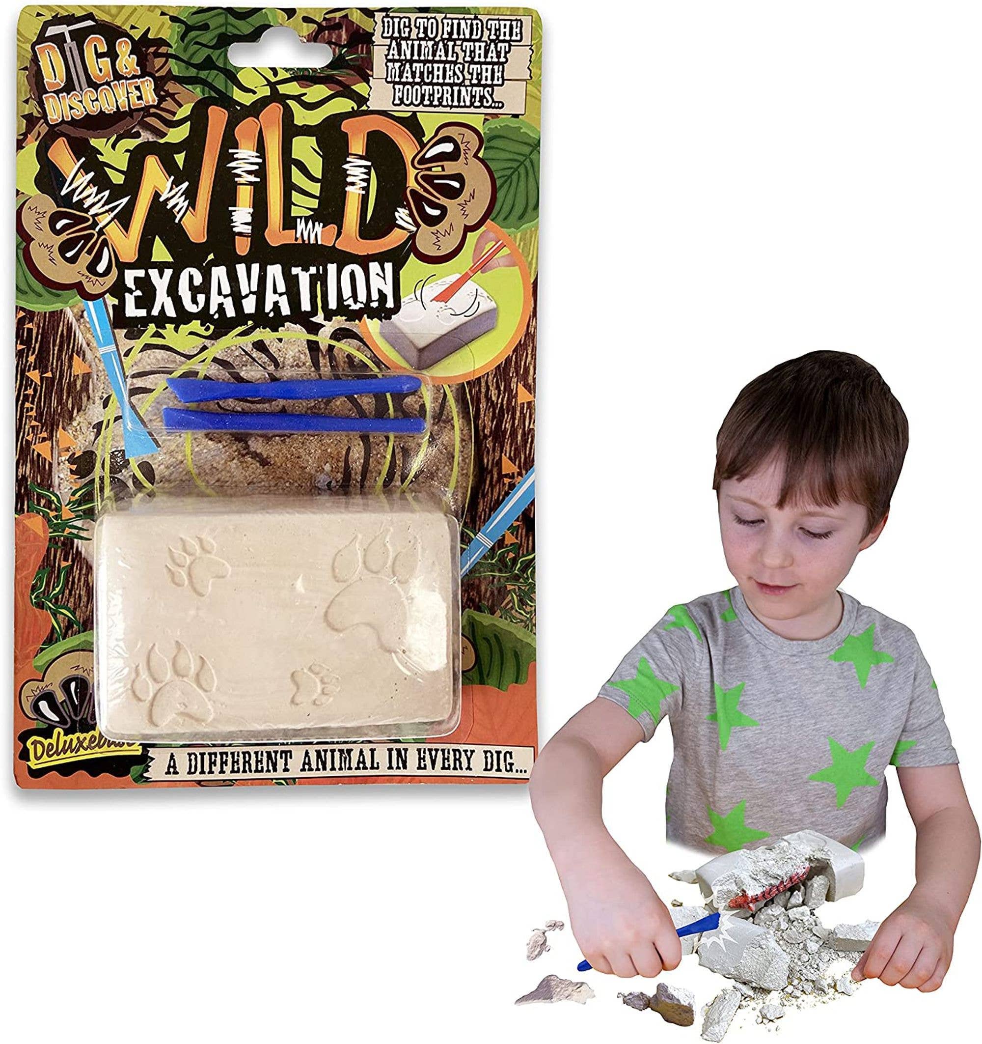 Deluxebase – wholesale Toy set – Kids – Dig & Discover - Wild Excavation Kit0