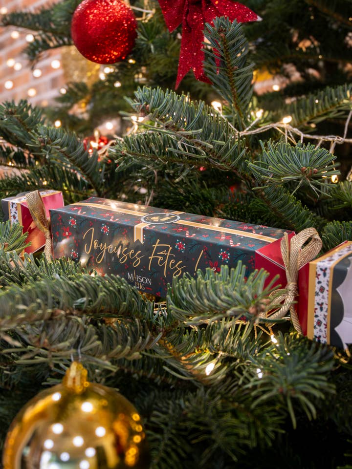 Os Conjuntos 1916 🎁 por atacado de MAISON 1916