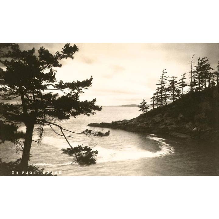 Cartolina WA-311 Puget Sound per la vendita all'ingrosso da parte di Found Image Press