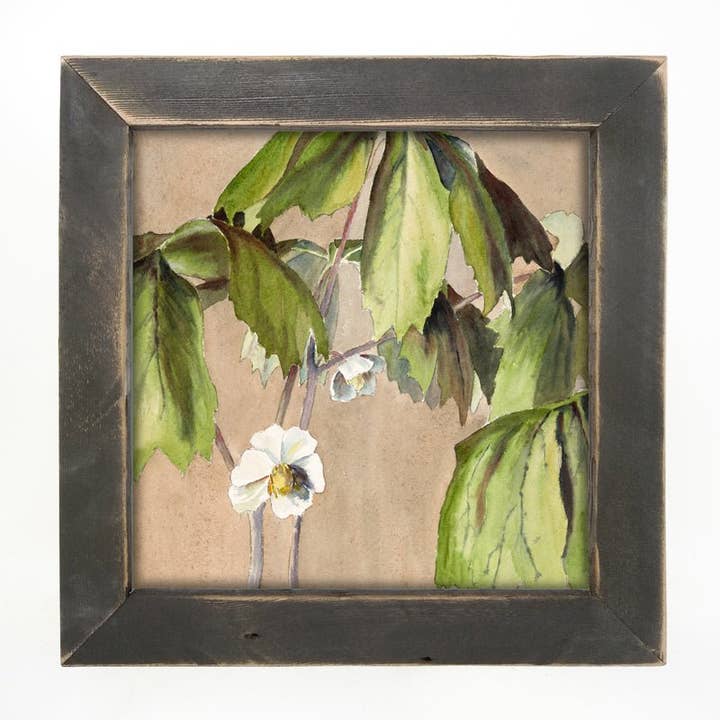 Vintage White Blooms for wholesale by ginger blue