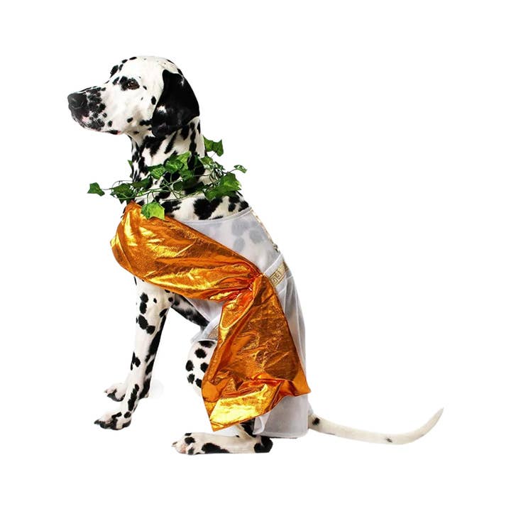 Midlee Designs - Venta al por mayor Disfraz - Perros - Disfraz de perro de Midlee Toga
