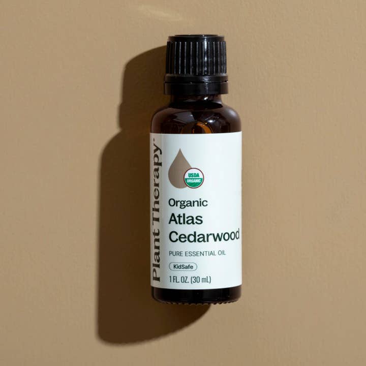 Plant Therapy - Wholesale Essential Oil - Organic Atlas Cedarwood Essential Oil 30 mL1