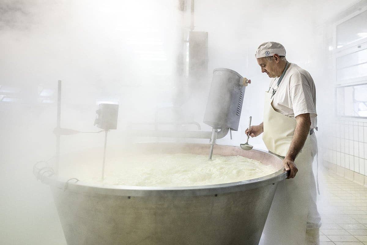 Gustoemilia – Engroshandel Ost – 48 måneder Parmigiano Reggiano di Montagna - Smagsoplevelse1