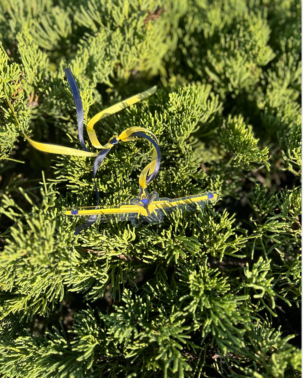 Casey Andrews Art – Großhandel Verzierung – Acryl-Ornament Crop Duster, Landwirtschaftsflugzeug1