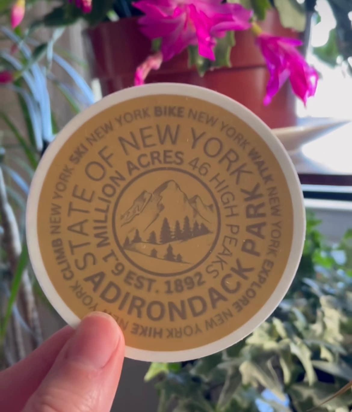 Just Wandering Co. - Wholesale Sticker - ADK Mountain Marker Sticker, Hiking Gift, 46, Water Bottle3