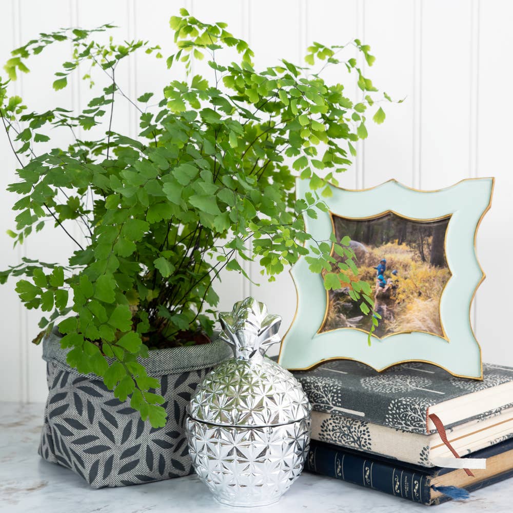 Malia Designs - Vente Jardinière - Jardinières/bacs en toile du commerce équitable8