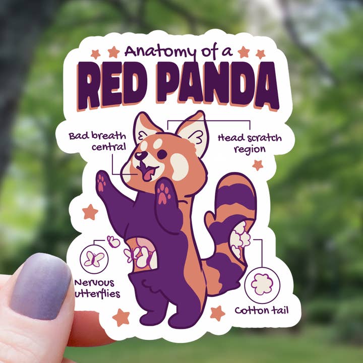 Anatomy of A Red Panda Sticker - 3" for wholesale by Mimic Gaming Co