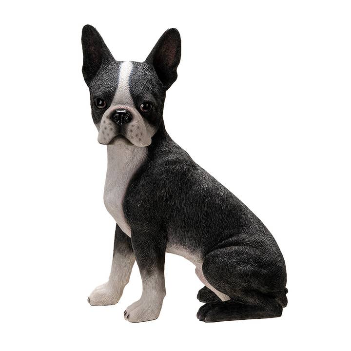 Boston Terrier for wholesale by Pacific Trading