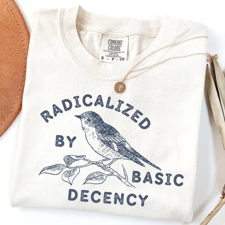 Comfort Colors Radicalized By Basic Decency T-shirt for wholesale by Teedico