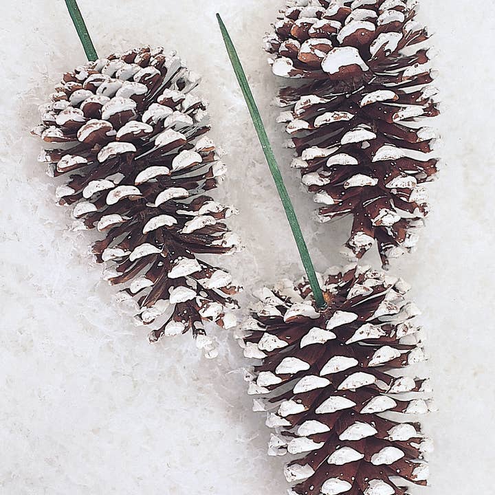 Studio Specialties - Wholesale Decorative Tabletop Object - PINE CONE GIANT FROSTED ON PIC 5"