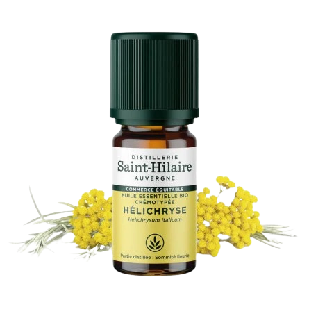 Ecohesens - Wholesale Essential Oil - Organic Helichrysis Essential Oil - 5 ml bottle - Saint-Hilaire0