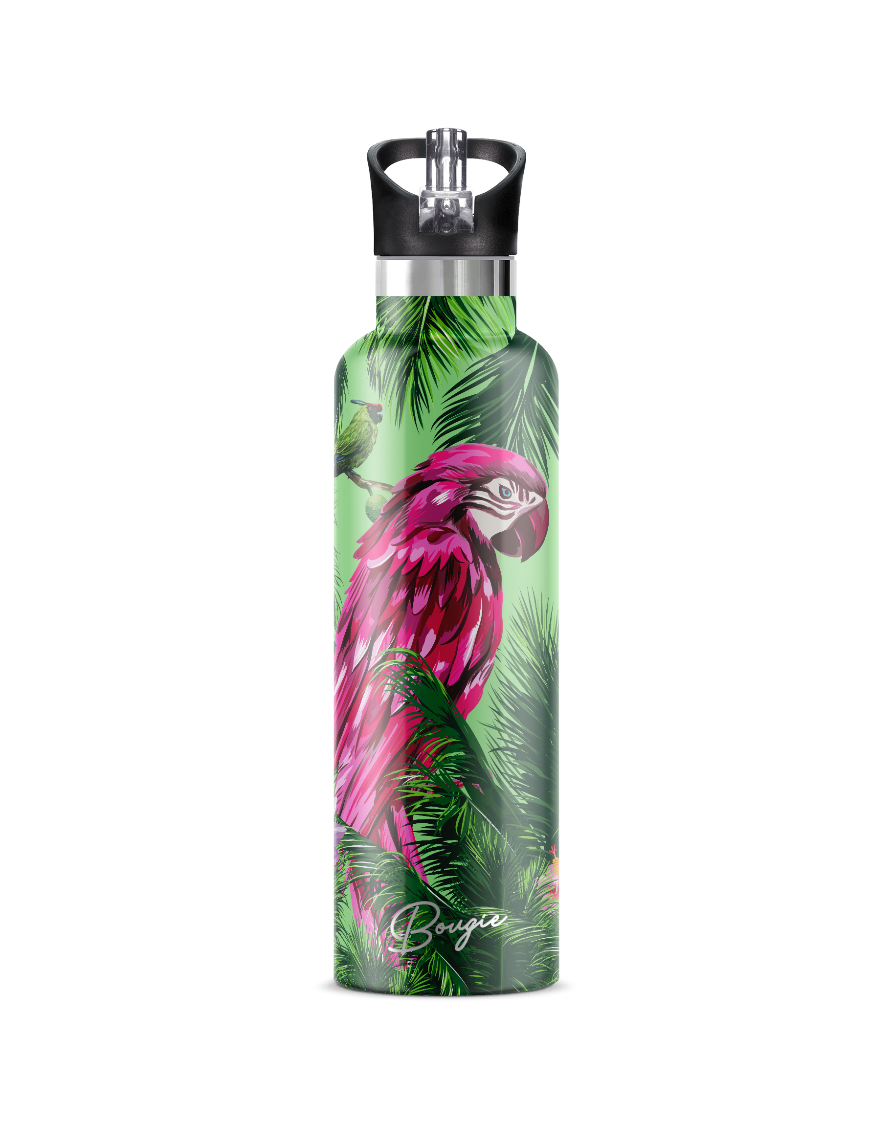 My Bougie Bottle - Wholesale Water Bottle - MACAW Parrot 25 oz Insulated Water Bottle2