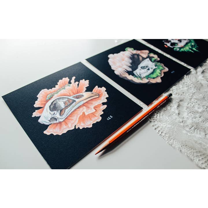 Hen Of The Woods Mushroom And Chicken Skull Print for wholesale by Brevity Art