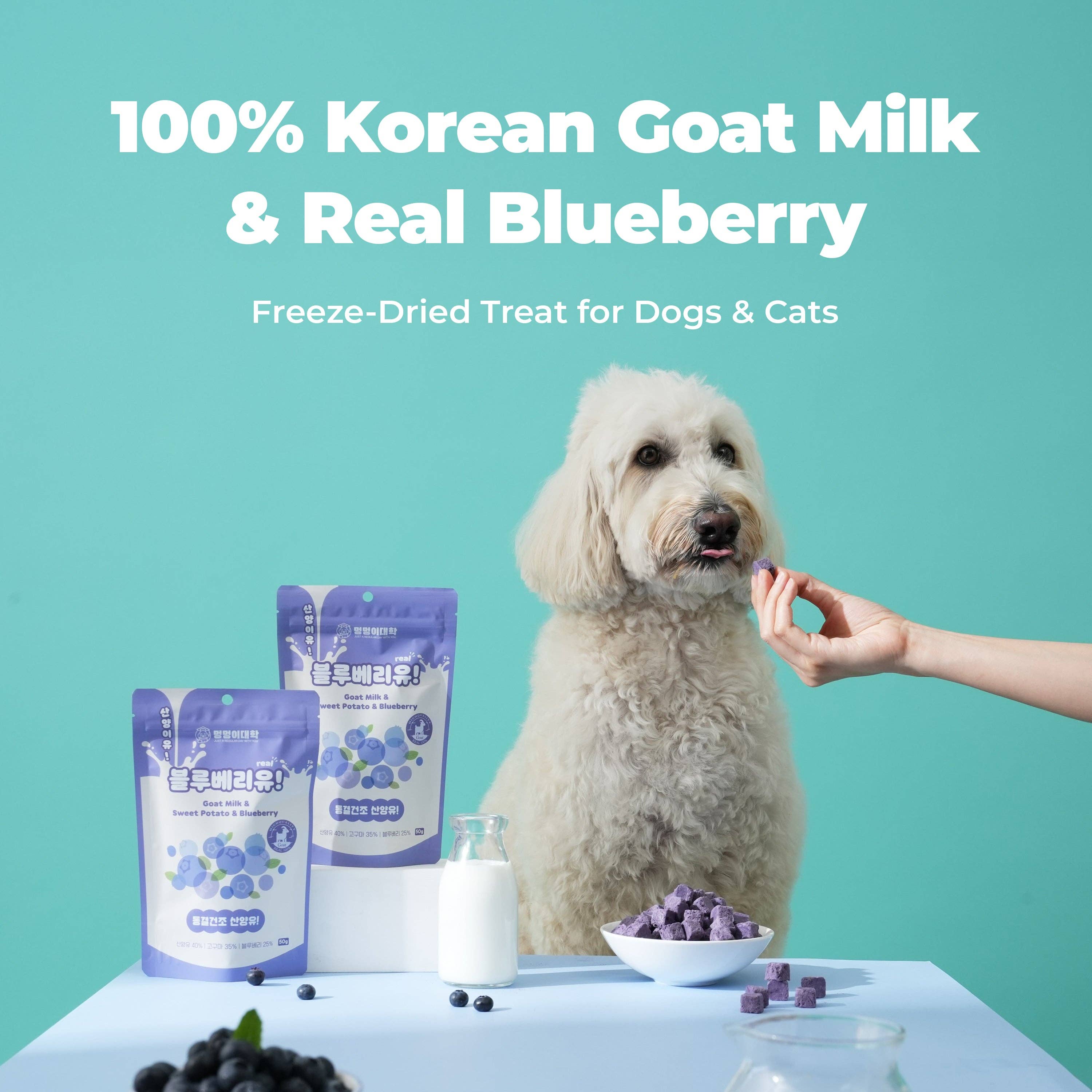 Kproduct4u - Wholesale Pet treats – Dog - It's Goat! Blueberry!2