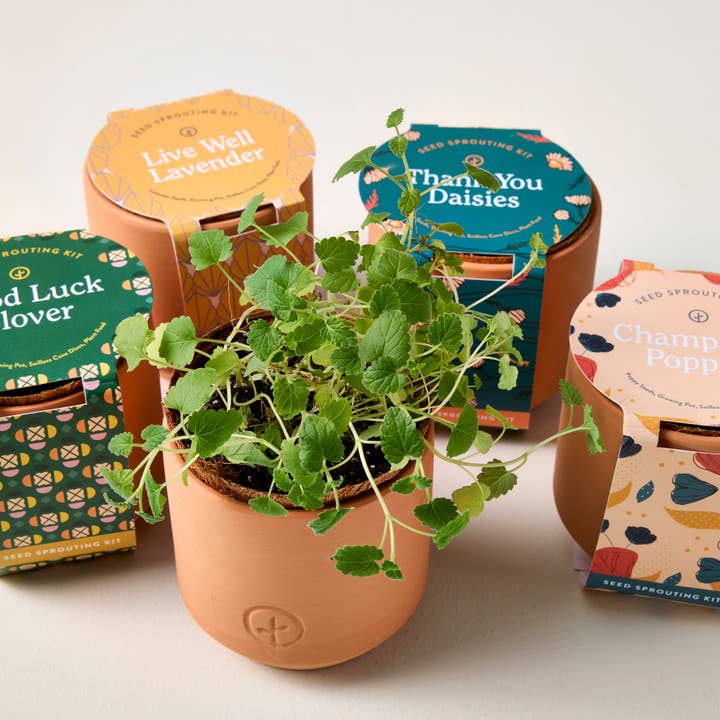 Modern Sprout - Wholesale Plant Seeds - Tiny Terracotta Grow Kits14