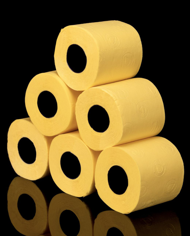 Renova - Wholesale Toilet Paper - Toilet Paper Renova Yellow 6 Rolls1