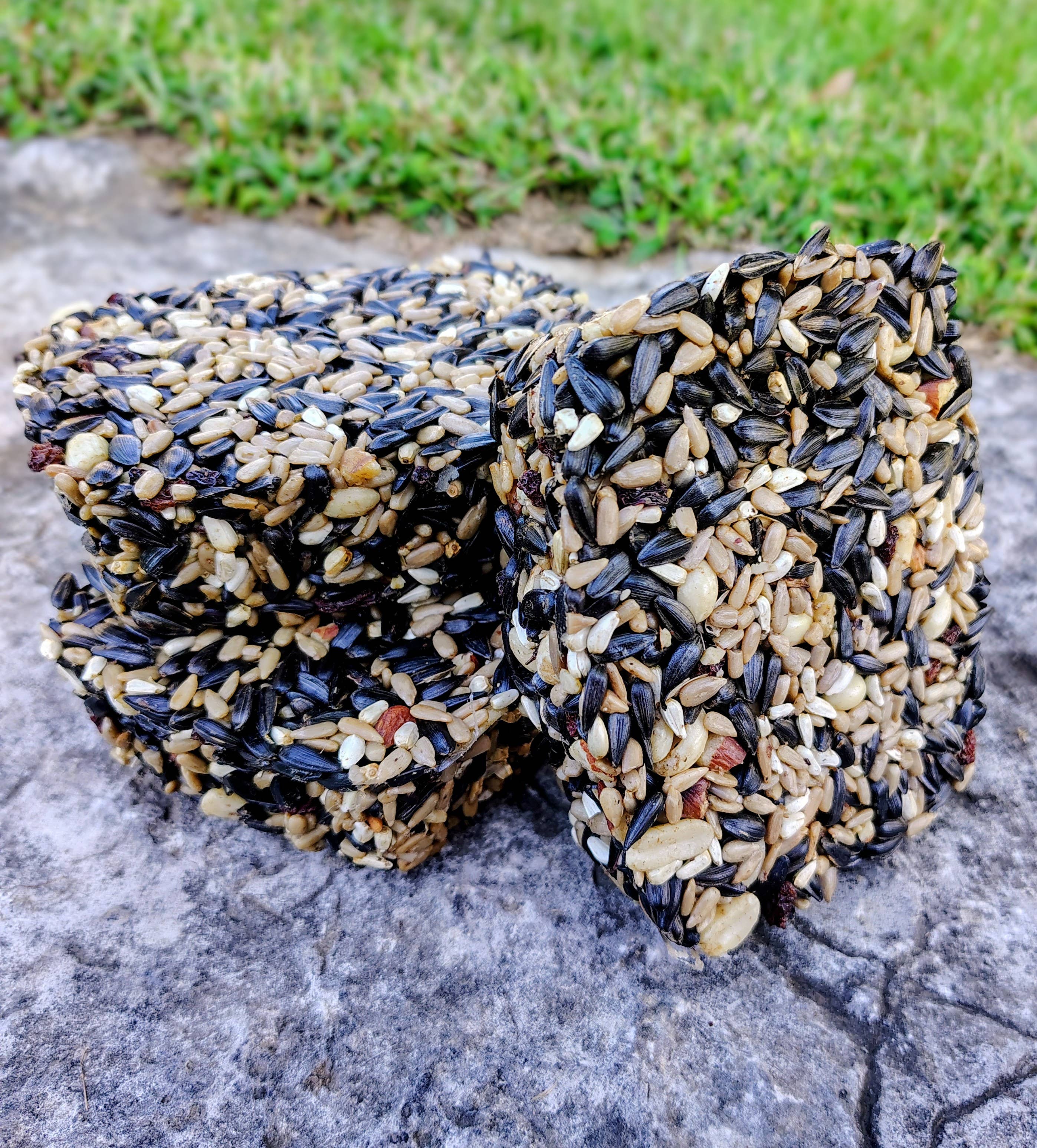 Backyard Tailz - Wholesale Bird Feeder - Birdseed Cake (Nut Berry Fruit)2