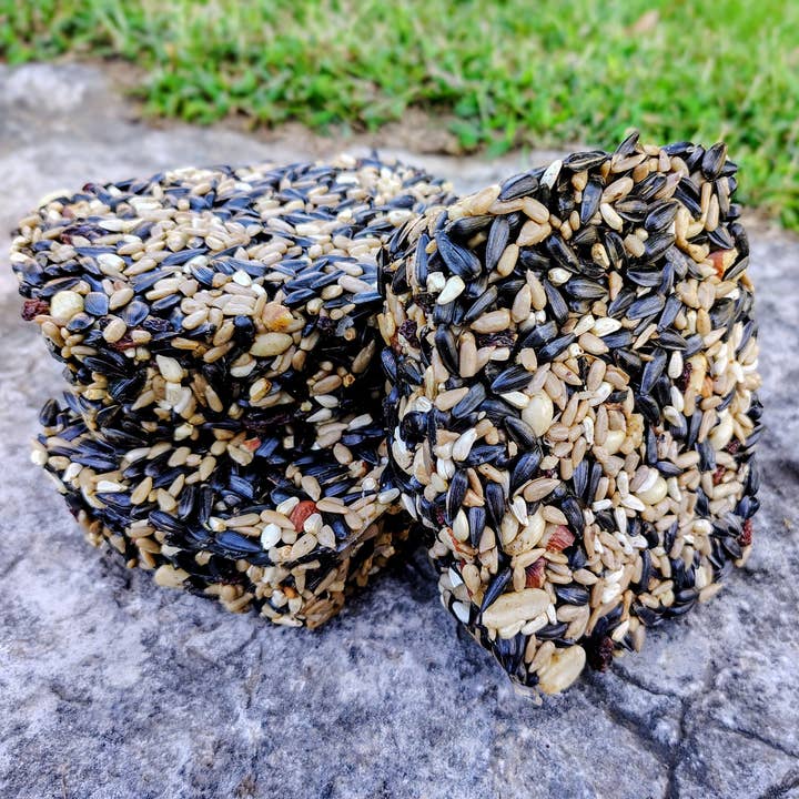 Backyard Tailz - Wholesale Bird Feeder - Birdseed Cake (Nut Berry Fruit)2