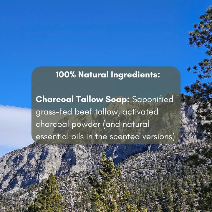 Stone & Spear - Wholesale Bar Soap - Charcoal Tallow Soap2